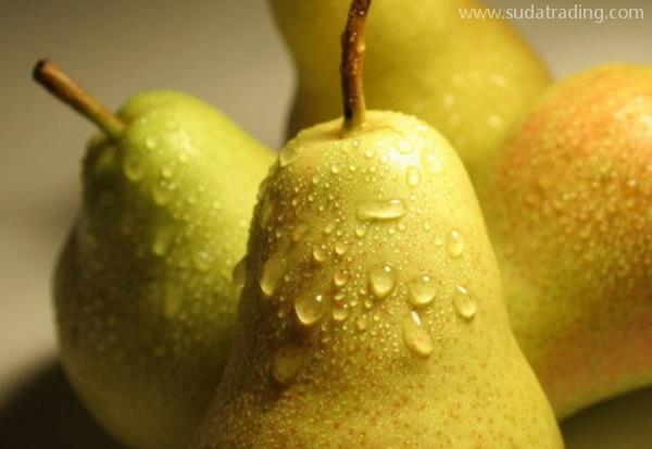 梨進(jìn)口申報資料詳解