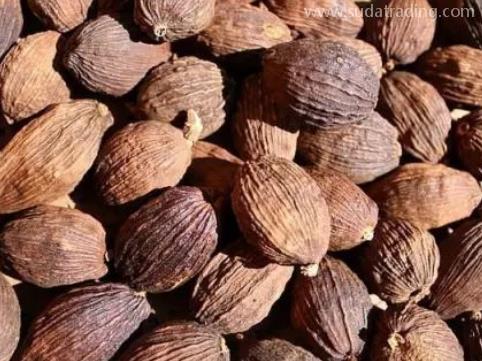 砂仁進口規范申報步驟 砂仁進口規范申報步驟