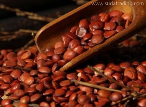 酸棗仁進口報關清關流程詳解