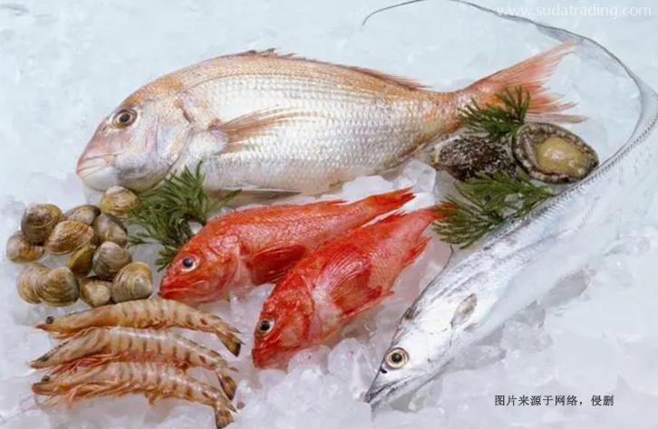 上海進口巴基斯坦水產(chǎn)品報關(guān)資料冷凍魚蝦蟹清關(guān) 上海進口巴基斯坦水產(chǎn)品報關(guān)資料冷凍魚蝦蟹清關(guān)