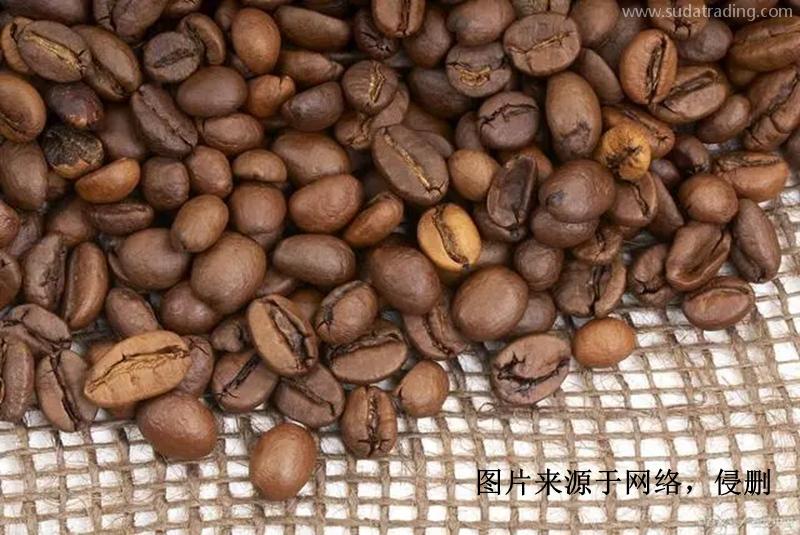 印尼進(jìn)口報關(guān)行哪家好？印度尼西亞可可豆清關(guān)資料