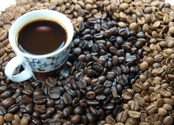 東帝汶進口報關公司哪家好?東帝汶咖啡豆清關流程 東帝汶進口報關公司哪家好?東帝汶咖啡豆清關流程