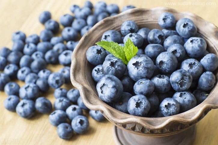 上海進口加拿大藍莓報關資料藍莓清關注意事項