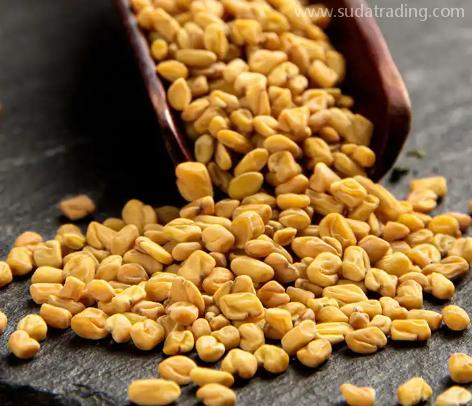 印度葫蘆巴子如何進口? 印度葫蘆巴子如何進口?