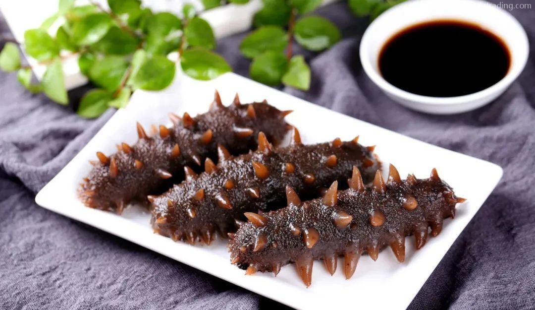 【進(jìn)口指南】食品海參進(jìn)口流程(內(nèi)附詳請(qǐng)) 【進(jìn)口指南】食品海參進(jìn)口流程(內(nèi)附詳請(qǐng))