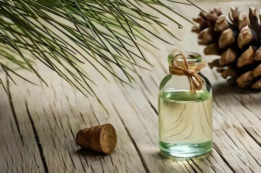 【進口知識】一文了解松香類產品 【進口知識】一文了解松香類產品