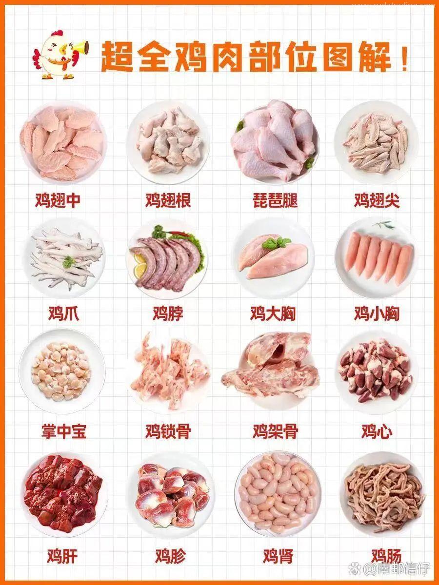 【進口知識】帶你了解進口雞類產品的世界