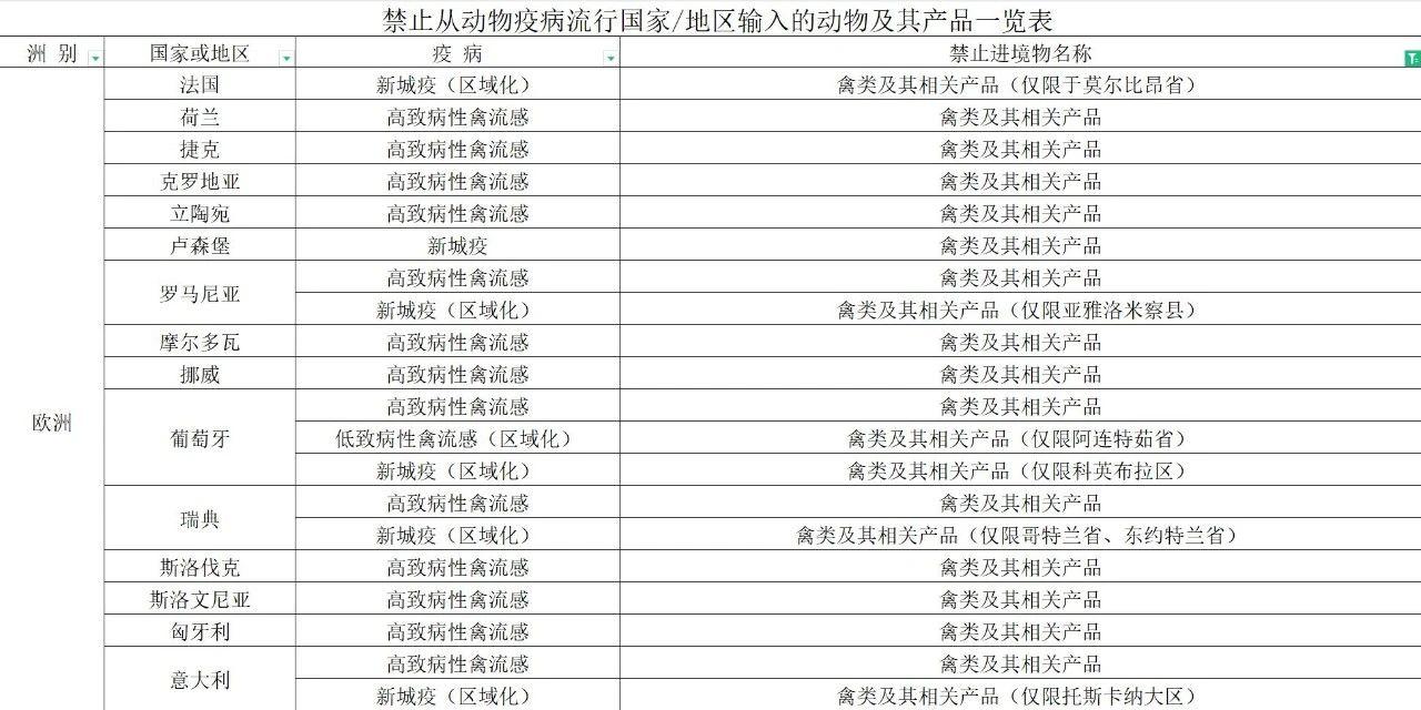 【進口知識】帶你了解進口雞類產品的世界