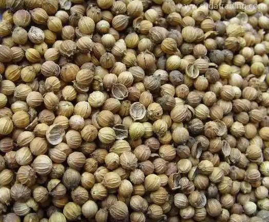 香菜籽的進口清關流程及所需資料